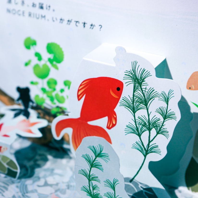 「NOGE RIUM」の金魚をアップにした画像